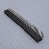 DS1024-2X40R2, гнездо на плату угловое 2x40 конт., шаг 2.54 мм., длина 8.5мм
