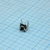 L-KLS7-TS6606-4.3-180, кнопка тактильная 6х6мм угловая h=1мм усилие нажатия 180гр 0.05a 12в монтаж в отверстие