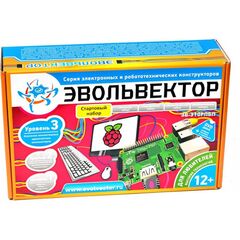 "ЭВОЛЬВЕКТОР" УРОВЕНЬ №3 СТАРТОВЫЙ НАБОР, набор для изучения основ raspberry pi 3