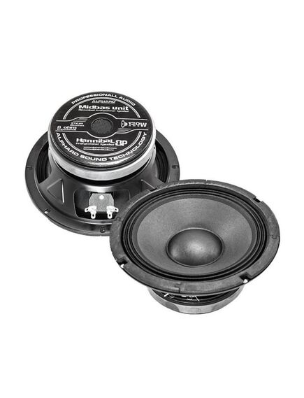Hannibal 8P, сч/нч динамик (пара) 60-4500 гц 8 дюймов, 8 ом, rms 120вт, max-240 вт, fs-85 гц, 95 дб, подвес - ткань, материал диффузора-прессованная целлюлоза